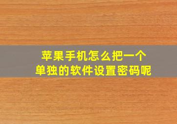 苹果手机怎么把一个单独的软件设置密码呢