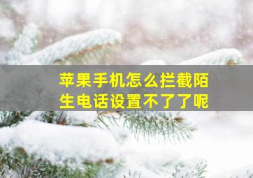 苹果手机怎么拦截陌生电话设置不了了呢