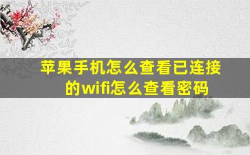 苹果手机怎么查看已连接的wifi怎么查看密码