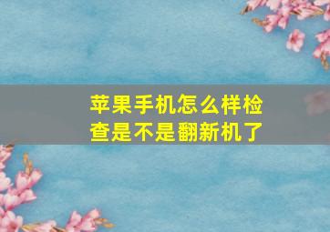 苹果手机怎么样检查是不是翻新机了