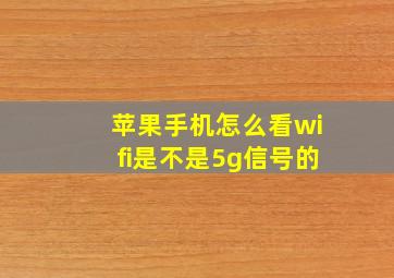 苹果手机怎么看wifi是不是5g信号的