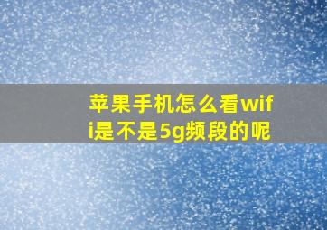 苹果手机怎么看wifi是不是5g频段的呢