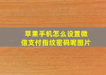 苹果手机怎么设置微信支付指纹密码呢图片