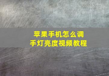 苹果手机怎么调手灯亮度视频教程