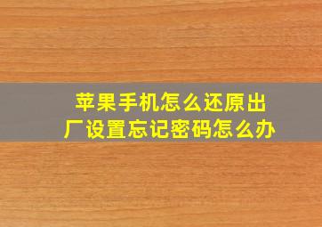 苹果手机怎么还原出厂设置忘记密码怎么办