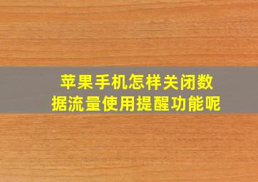 苹果手机怎样关闭数据流量使用提醒功能呢