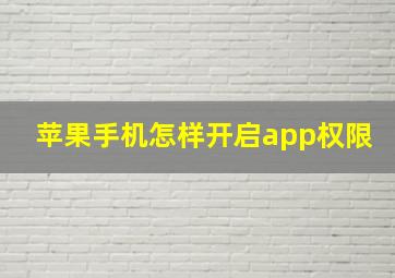 苹果手机怎样开启app权限