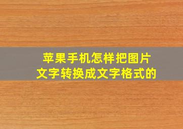 苹果手机怎样把图片文字转换成文字格式的