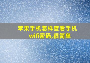 苹果手机怎样查看手机wifi密码,很简单