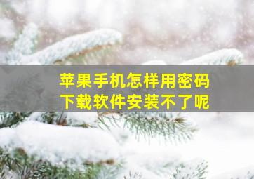 苹果手机怎样用密码下载软件安装不了呢