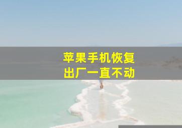 苹果手机恢复出厂一直不动