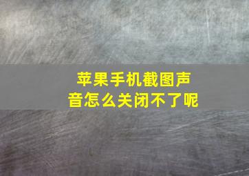 苹果手机截图声音怎么关闭不了呢