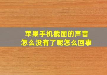 苹果手机截图的声音怎么没有了呢怎么回事