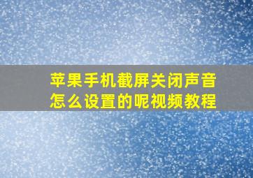 苹果手机截屏关闭声音怎么设置的呢视频教程