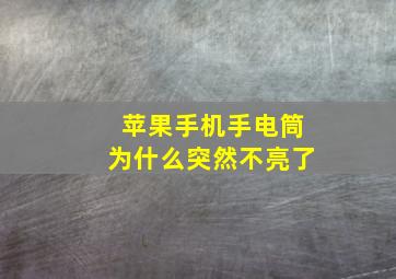 苹果手机手电筒为什么突然不亮了