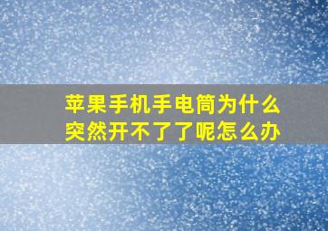 苹果手机手电筒为什么突然开不了了呢怎么办