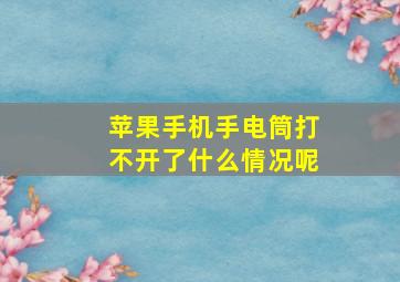 苹果手机手电筒打不开了什么情况呢