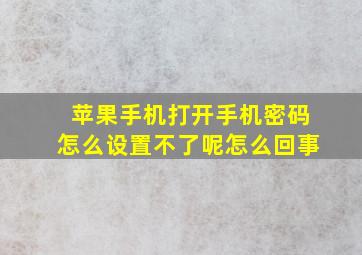 苹果手机打开手机密码怎么设置不了呢怎么回事