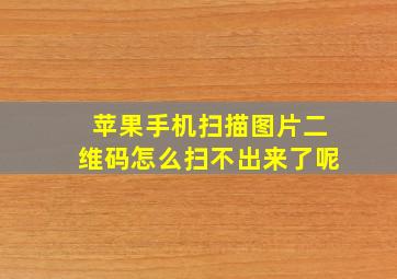 苹果手机扫描图片二维码怎么扫不出来了呢