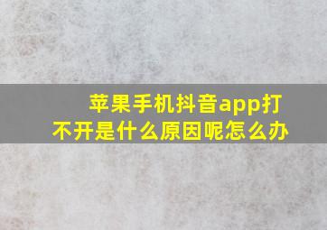 苹果手机抖音app打不开是什么原因呢怎么办