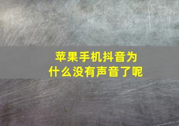 苹果手机抖音为什么没有声音了呢