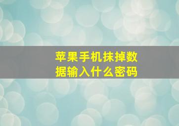 苹果手机抹掉数据输入什么密码