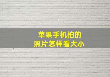 苹果手机拍的照片怎样看大小