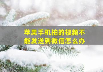 苹果手机拍的视频不能发送到微信怎么办