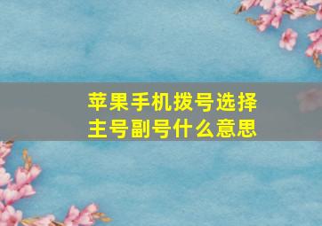 苹果手机拨号选择主号副号什么意思