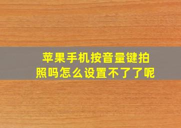 苹果手机按音量键拍照吗怎么设置不了了呢