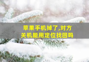 苹果手机掉了,对方关机能用定位找回吗