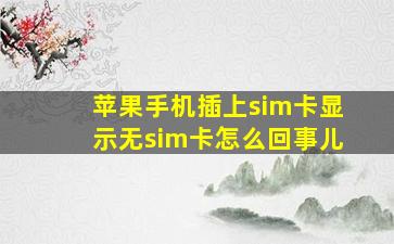 苹果手机插上sim卡显示无sim卡怎么回事儿