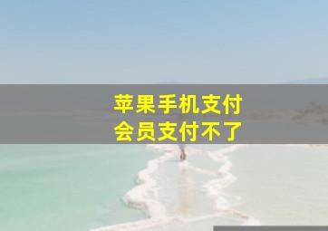 苹果手机支付会员支付不了