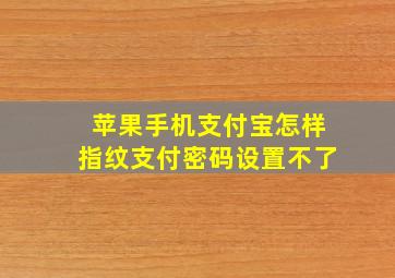 苹果手机支付宝怎样指纹支付密码设置不了