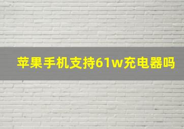 苹果手机支持61w充电器吗