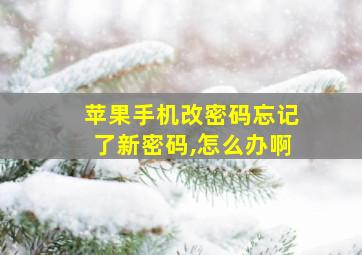 苹果手机改密码忘记了新密码,怎么办啊