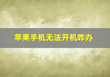 苹果手机无法开机咋办