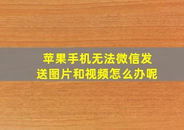 苹果手机无法微信发送图片和视频怎么办呢