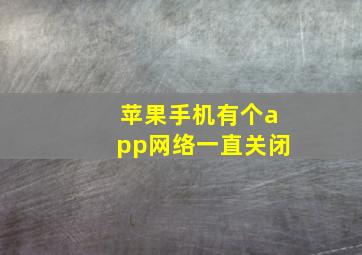 苹果手机有个app网络一直关闭