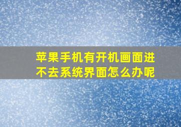 苹果手机有开机画面进不去系统界面怎么办呢