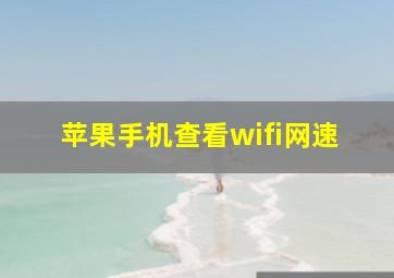 苹果手机查看wifi网速