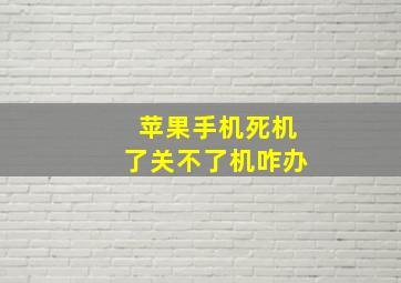 苹果手机死机了关不了机咋办