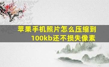 苹果手机照片怎么压缩到100kb还不损失像素