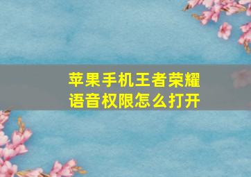 苹果手机王者荣耀语音权限怎么打开