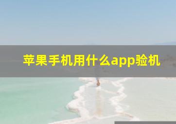 苹果手机用什么app验机