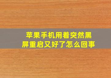 苹果手机用着突然黑屏重启又好了怎么回事