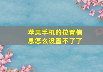 苹果手机的位置信息怎么设置不了了