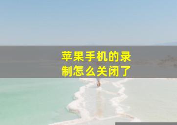 苹果手机的录制怎么关闭了