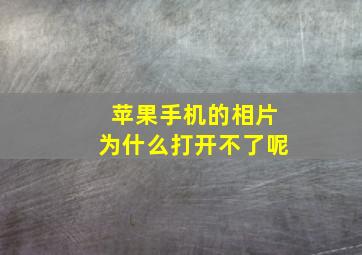 苹果手机的相片为什么打开不了呢