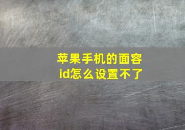 苹果手机的面容id怎么设置不了